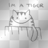 im a tiger i go RAWR!