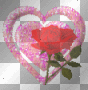 heart and rose