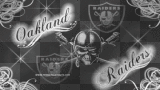 RAIDERS