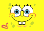 The Sponge