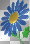 cute colorful flower