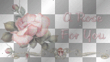 rose for you