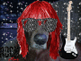 ROCKSTAR DOG