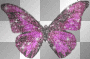 aa