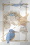 shells and bluebird