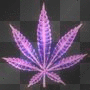 weed