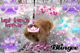 my dog shanoon