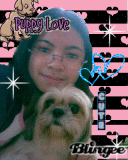puppy luv
