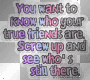 true friends