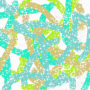 Animated Picture