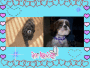obi and roxy