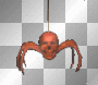 spider skeleton