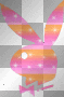 playboy