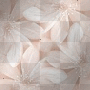 white daisy