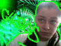 chaos greeen