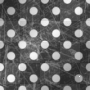 Polka