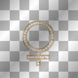 Girls Rule ! - Gold