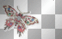 butterfly butterfly