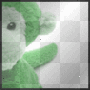 singe