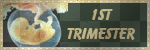 First Trimester