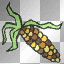 corn