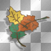 fall leaves