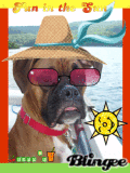 summertime summertime