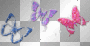 3 BUTTERFLIES