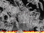 citta 