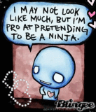 .:. I am a ninja! .:. 