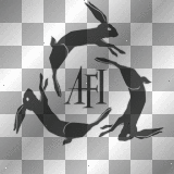 afi bunnies circling