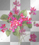 pink flowers