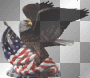 4th of july