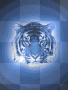 Flashin Tigerrr