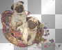 pugs in basket