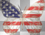 usa_butterfly