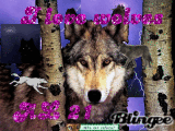 I love wolves cuz I'm AL21