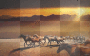 horsebackground