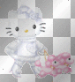 poodle kitty