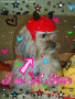 Hoshi The Dog