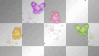 butterflys