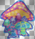 Mushrooms!
