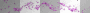 purple glitter boarder