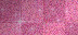 deep pink dust