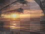 beach sunset