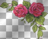 Rose Frame