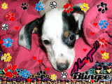 TOOOOO CUTE!!!!!!!!!!!!!!!!!!!!!!!!!!!!