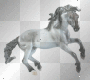 Wild Horse