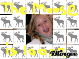 the moose is loose