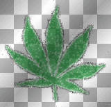 pot leaf
